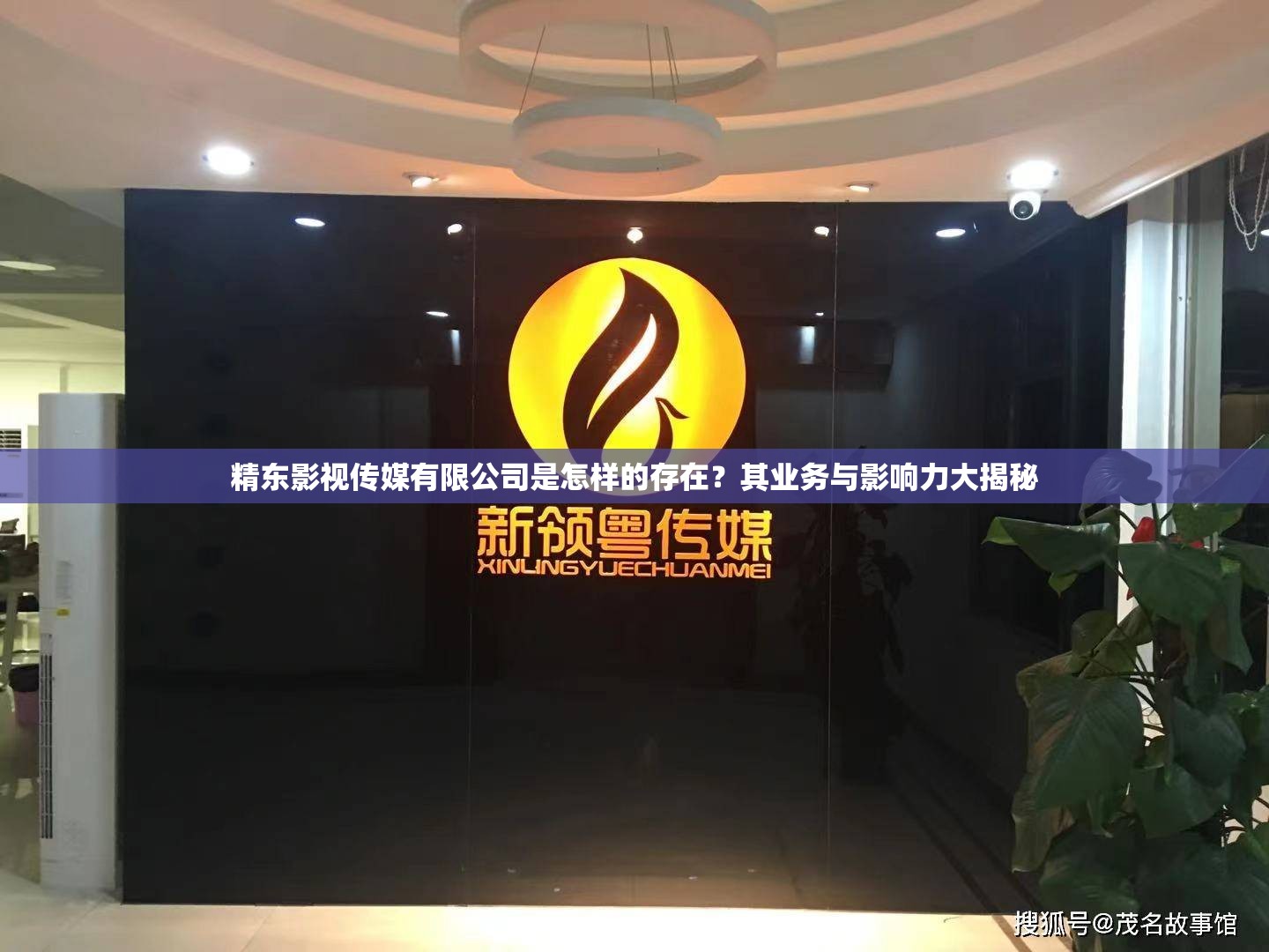 精东影视传媒有限公司是怎样的存在？其业务与影响力大揭秘