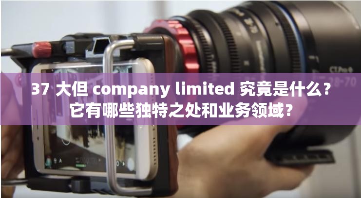 37 大但 company limited 究竟是什么？它有哪些独特之处和业务领域？