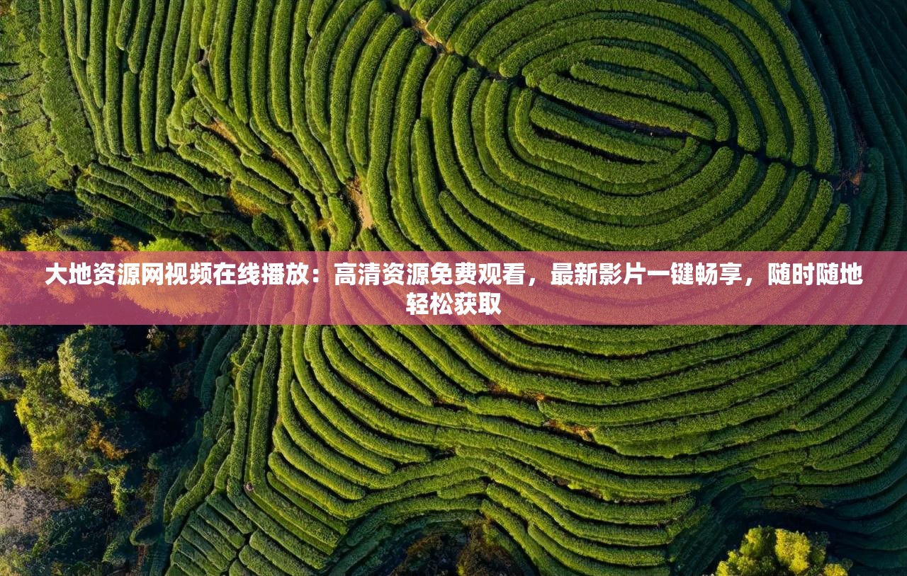 大地资源网视频在线播放：高清资源免费观看，最新影片一键畅享，随时随地轻松获取