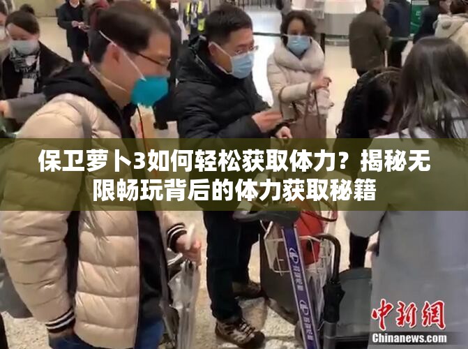 保卫萝卜3如何轻松获取体力？揭秘无限畅玩背后的体力获取秘籍