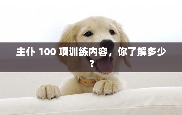 主仆 100 项训练内容，你了解多少？