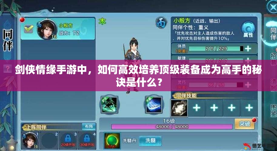 剑侠情缘手游中，如何高效培养顶级装备成为高手的秘诀是什么？