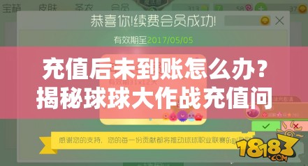 充值后未到账怎么办？揭秘球球大作战充值问题演变史