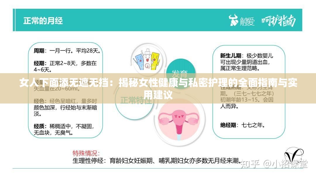 女人下面添无遮无挡：揭秘女性健康与私密护理的全面指南与实用建议
