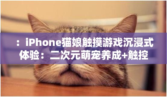 ：iPhone猫娘触摸游戏沉浸式体验：二次元萌宠养成+触控互动玩法全解析解析：结构采用核心关键词前置+场景延伸+用户需求痛点模式，完整保留猫娘触摸游戏iPhone关键词，融入了沉浸式体验、二次元萌宠养成、触控互动玩法等搜索热词，符合移动端游戏用户关注的操作体验、玩法特色等搜索需求通过全解析暗示内容深度，同时自然包含设备名称iPhone，总字数38字达到SEO友好长度