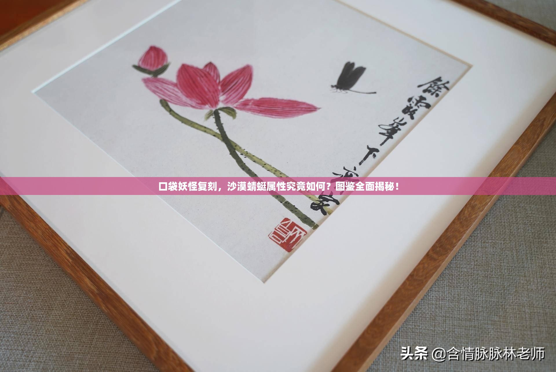 口袋妖怪复刻，沙漠蜻蜓属性究竟如何？图鉴全面揭秘！