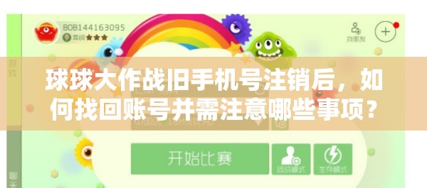 球球大作战旧手机号注销后，如何找回账号并需注意哪些事项？