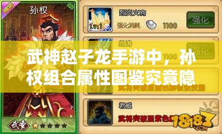 武神赵子龙手游中，孙权组合属性图鉴究竟隐藏了哪些深度秘密？