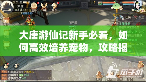 大唐游仙记新手必看，如何高效培养宠物，攻略揭秘悬念多？