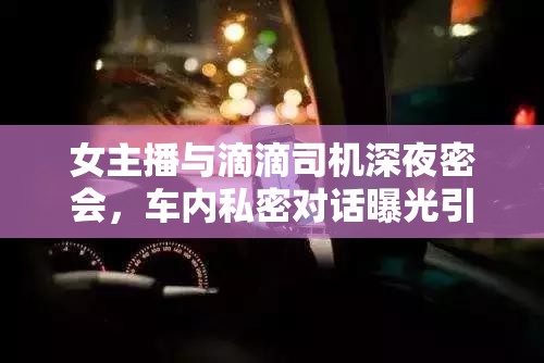 女主播与滴滴司机深夜密会，车内私密对话曝光引发热议