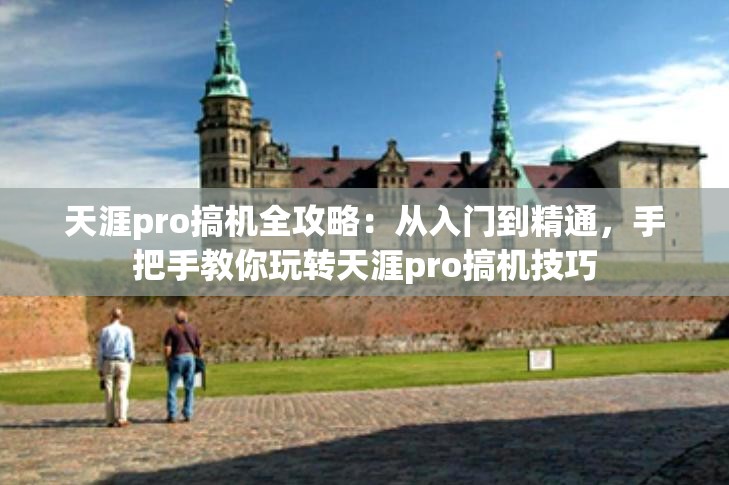 天涯pro搞机全攻略：从入门到精通，手把手教你玩转天涯pro搞机技巧
