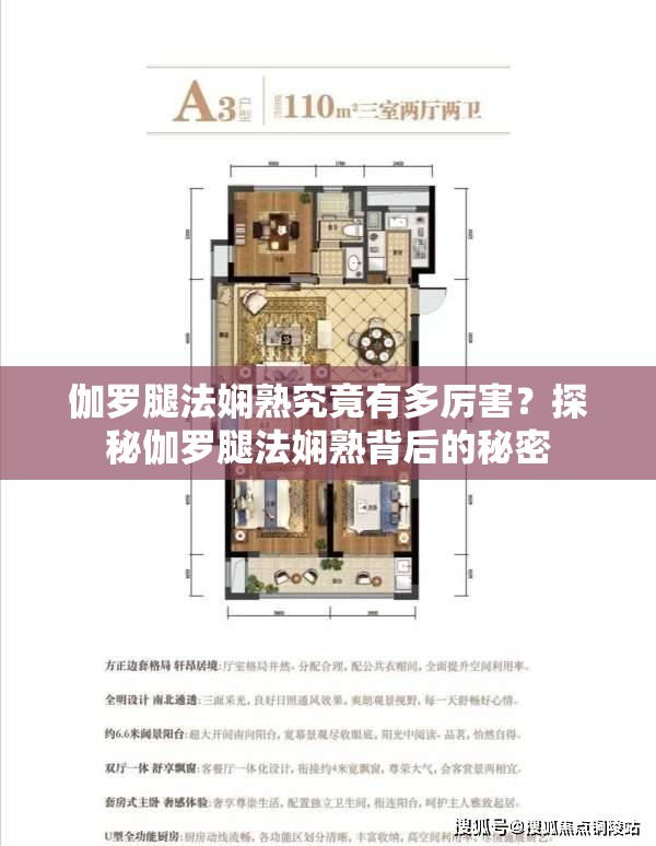 伽罗腿法娴熟究竟有多厉害？探秘伽罗腿法娴熟背后的秘密
