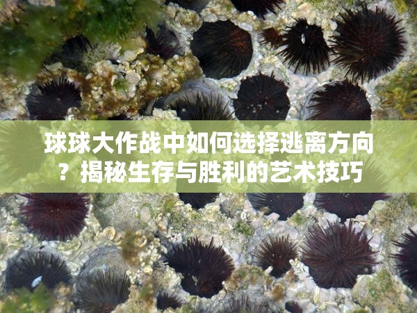 球球大作战中如何选择逃离方向？揭秘生存与胜利的艺术技巧