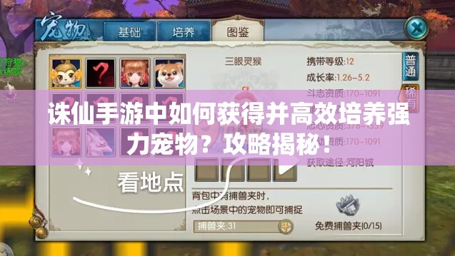 诛仙手游中如何获得并高效培养强力宠物？攻略揭秘！