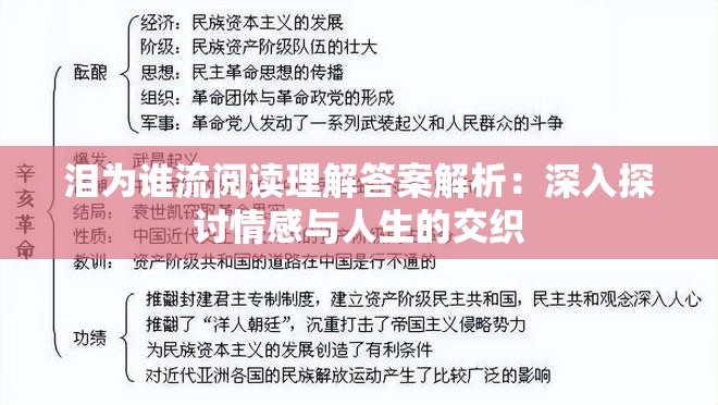泪为谁流阅读理解答案解析：深入探讨情感与人生的交织