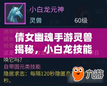 倩女幽魂手游灵兽揭秘，小白龙技能与图鉴全览，它有何独特之处？