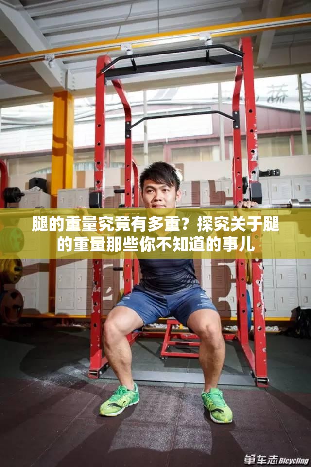 腿的重量究竟有多重？探究关于腿的重量那些你不知道的事儿