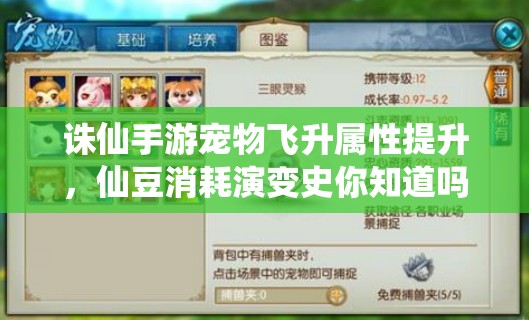 诛仙手游宠物飞升属性提升，仙豆消耗演变史你知道吗？