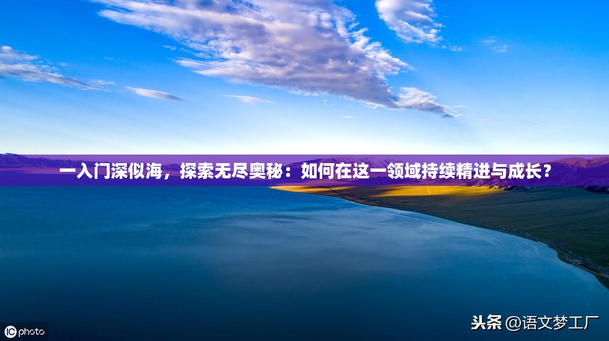 一入门深似海，探索无尽奥秘：如何在这一领域持续精进与成长？