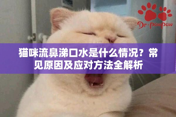 猫咪流鼻涕口水是什么情况？常见原因及应对方法全解析