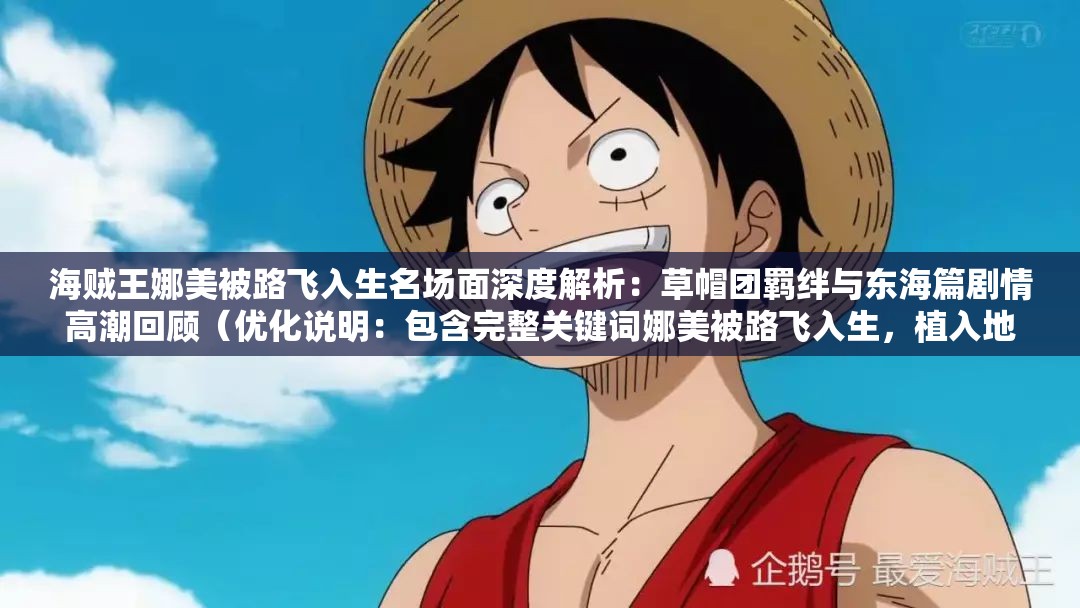 海贼王娜美被路飞入生名场面深度解析：草帽团羁绊与东海篇剧情高潮回顾（优化说明：包含完整关键词娜美被路飞入生，植入地域词东海篇强化场景记忆，通过名场面解析和剧情高潮触发长尾搜索需求，使用羁绊团队精神等情感共鸣词提升点击率，整体符合百度用户对经典剧情解析的搜索习惯）