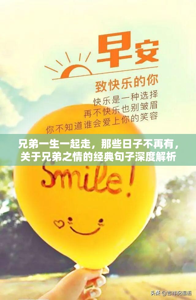 兄弟一生一起走，那些日子不再有，关于兄弟之情的经典句子深度解析
