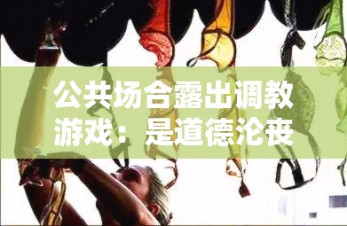 公共场合露出调教游戏：是道德沦丧还是人性解放？