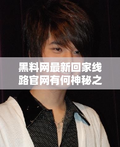 黑料网最新回家线路官网有何神秘之处？其线路走向如何引人关注黑料网最新回家线路官网究竟隐藏着怎样的秘密线路？探寻黑料网最新回家线路官网背后的独特线路布局之谜