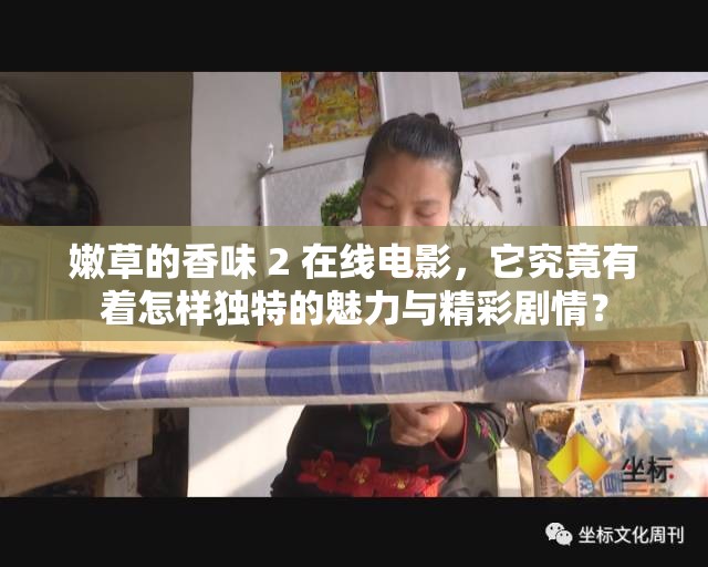 嫩草的香味 2 在线电影，它究竟有着怎样独特的魅力与精彩剧情？