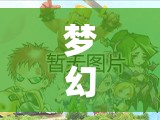 梦幻西游手游中级变身卡大当家，究竟隐藏了哪些不为人知的秘密？