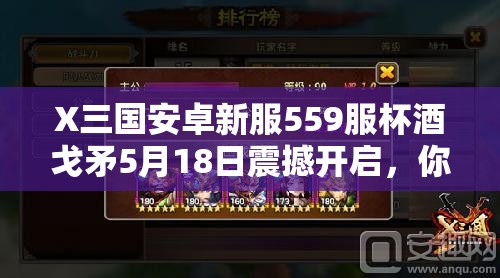 X三国安卓新服559服杯酒戈矛5月18日震撼开启，你准备好了吗？