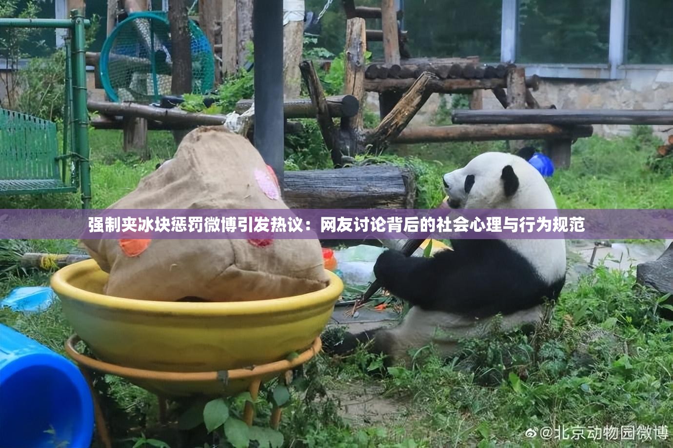 强制夹冰块惩罚微博引发热议：网友讨论背后的社会心理与行为规范