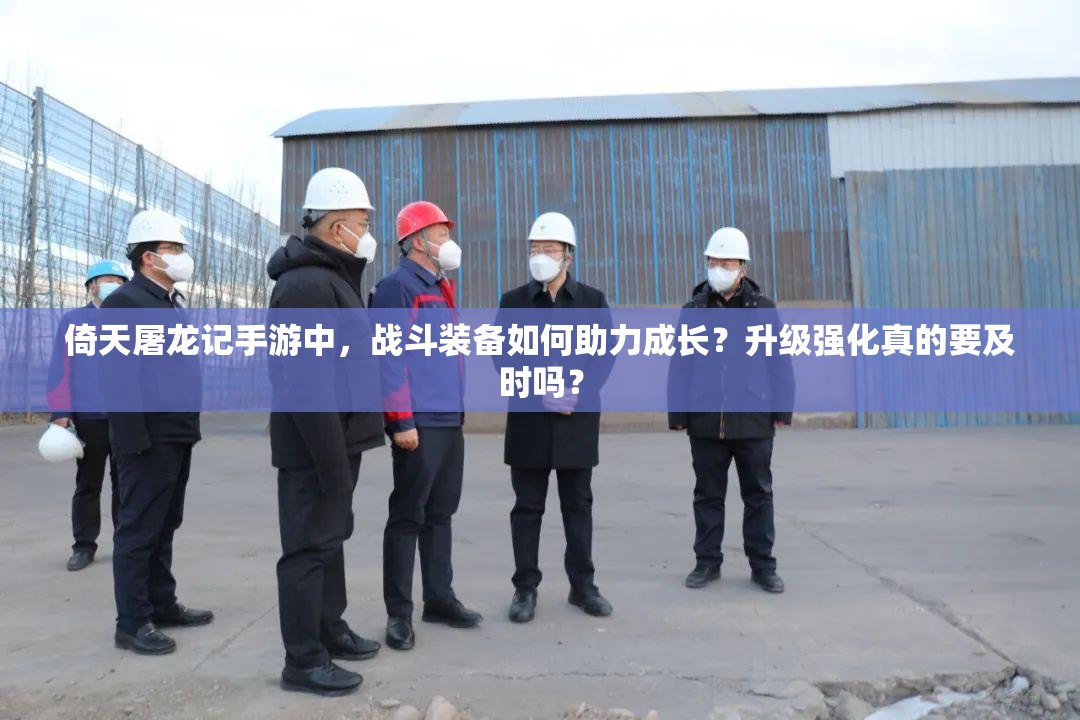 倚天屠龙记手游中，战斗装备如何助力成长？升级强化真的要及时吗？