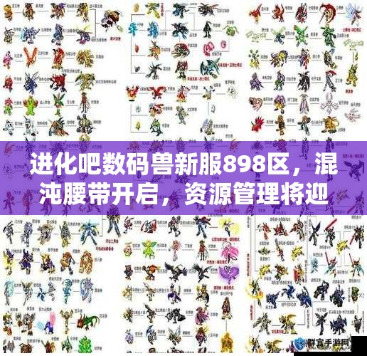 进化吧数码兽新服898区，混沌腰带开启，资源管理将迎来怎样新篇章？