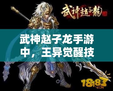 武神赵子龙手游中，王异觉醒技能究竟有何惊人之处？