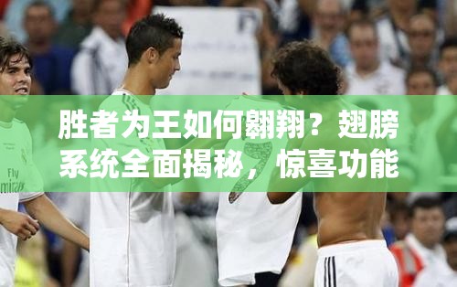 胜者为王如何翱翔？翅膀系统全面揭秘，惊喜功能引发悬念！