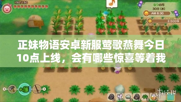 正妹物语安卓新服莺歌燕舞今日10点上线，会有哪些惊喜等着我们呢？