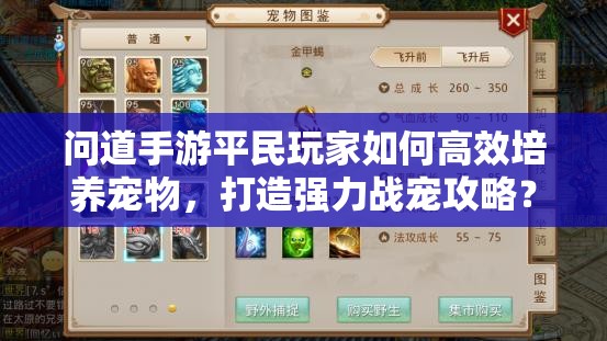 问道手游平民玩家如何高效培养宠物，打造强力战宠攻略？