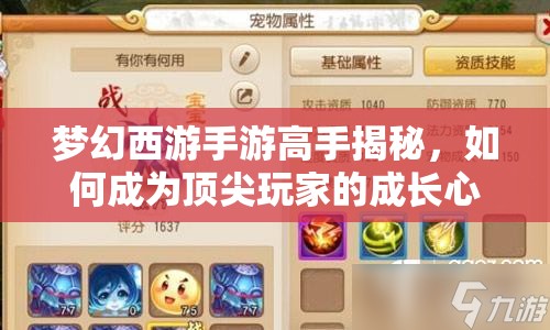 梦幻西游手游高手揭秘，如何成为顶尖玩家的成长心得大揭秘？