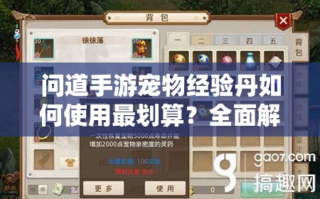 问道手游宠物经验丹如何使用最划算？全面解析带你揭秘！