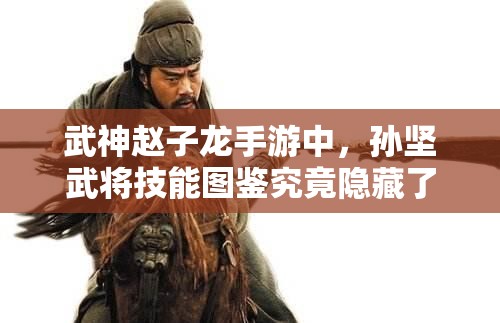 武神赵子龙手游中，孙坚武将技能图鉴究竟隐藏了哪些深度奥秘？