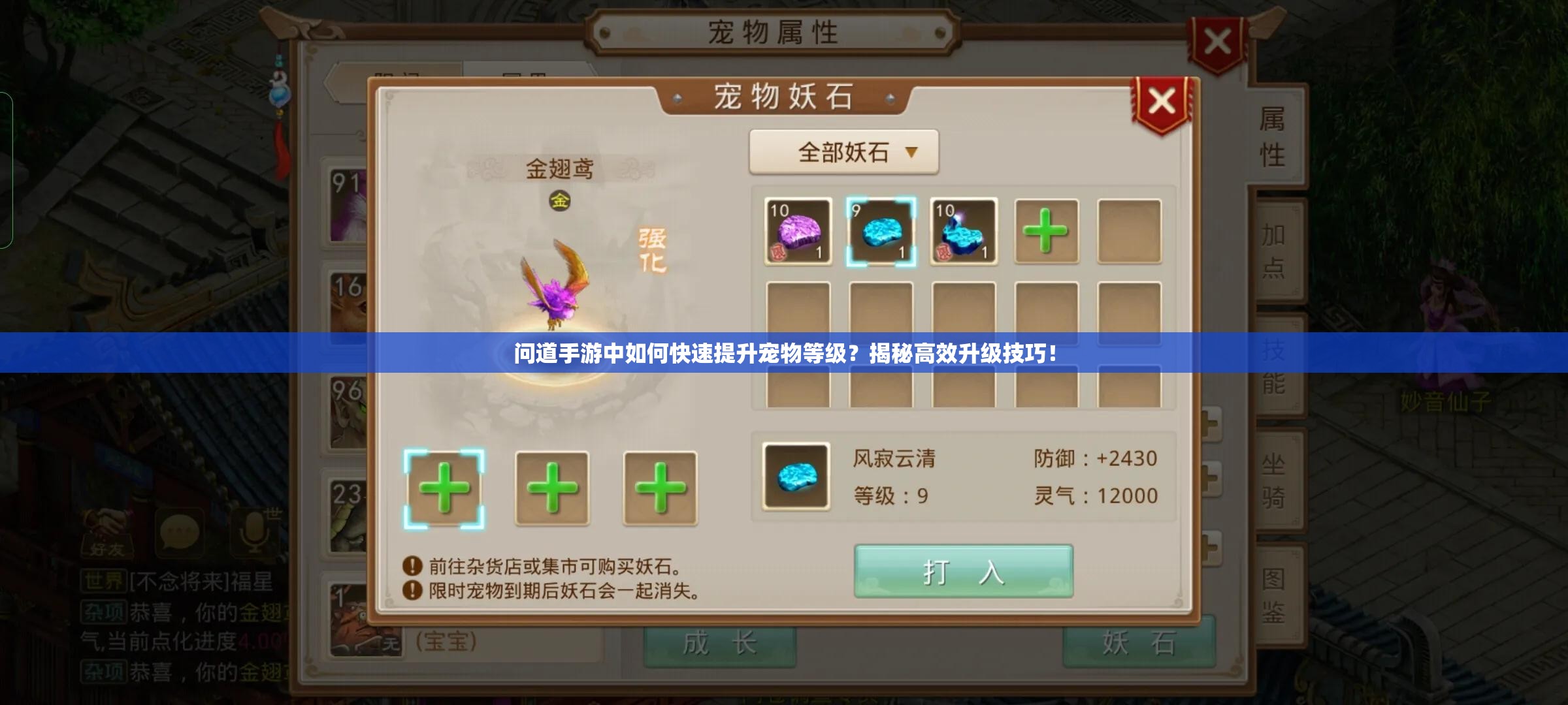 问道手游中如何快速提升宠物等级？揭秘高效升级技巧！