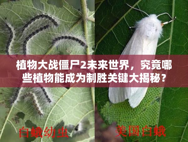 植物大战僵尸2未来世界，究竟哪些植物能成为制胜关键大揭秘？