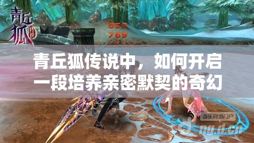 青丘狐传说中，如何开启一段培养亲密默契的奇幻冒险之旅？