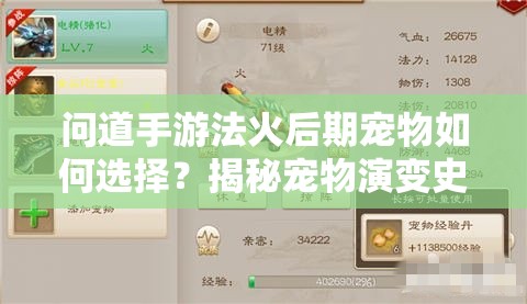 问道手游法火后期宠物如何选择？揭秘宠物演变史专题！