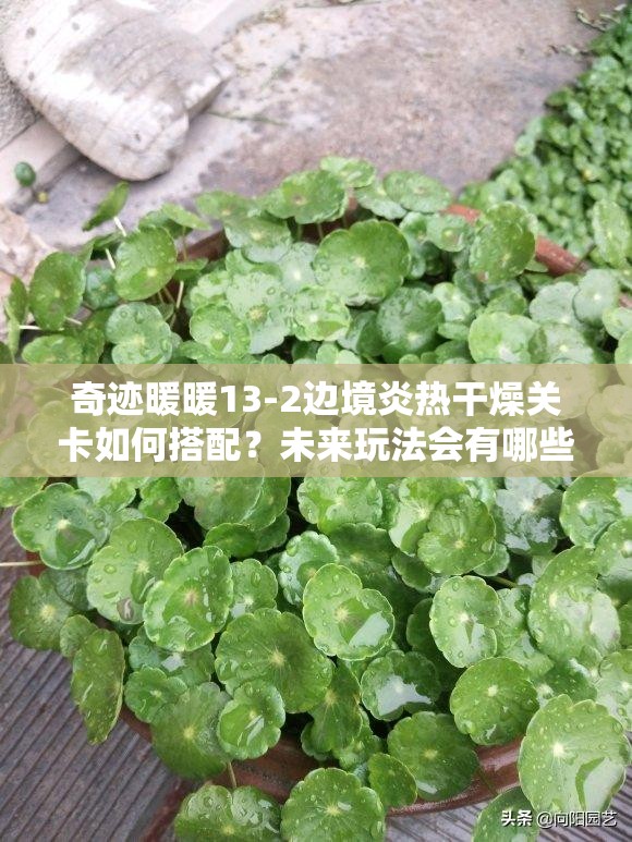 奇迹暖暖13-2边境炎热干燥关卡如何搭配？未来玩法会有哪些革命性变化？