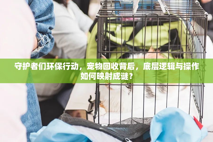 守护者们环保行动，宠物回收背后，底层逻辑与操作如何映射成谜？