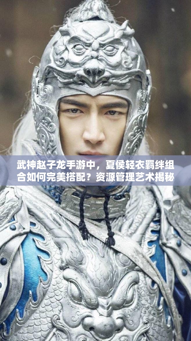 武神赵子龙手游中，夏侯轻衣羁绊组合如何完美搭配？资源管理艺术揭秘！