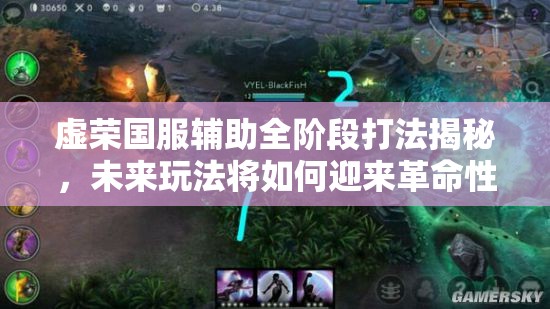 虚荣国服辅助全阶段打法揭秘，未来玩法将如何迎来革命性变革？