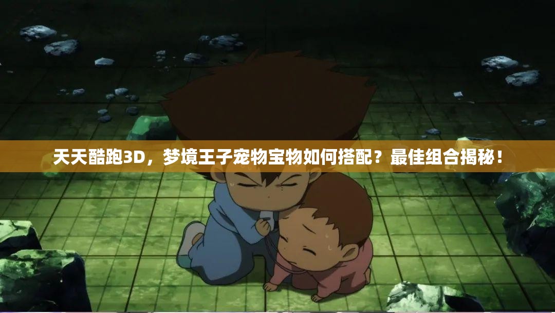 天天酷跑3D，梦境王子宠物宝物如何搭配？最佳组合揭秘！